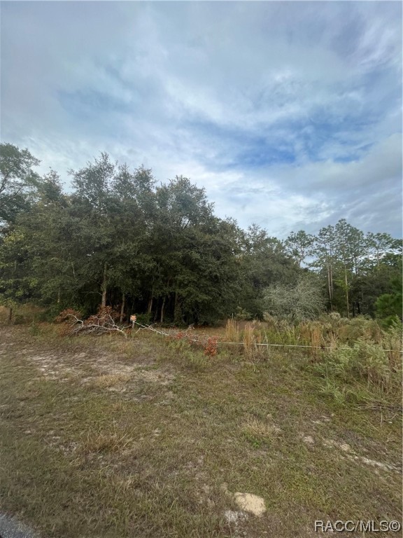 10288 Lot 8 Yale Avenue, Weeki Wachee, Florida image 6