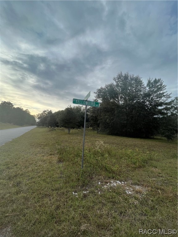 10288 Lot 8 Yale Avenue, Weeki Wachee, Florida image 7