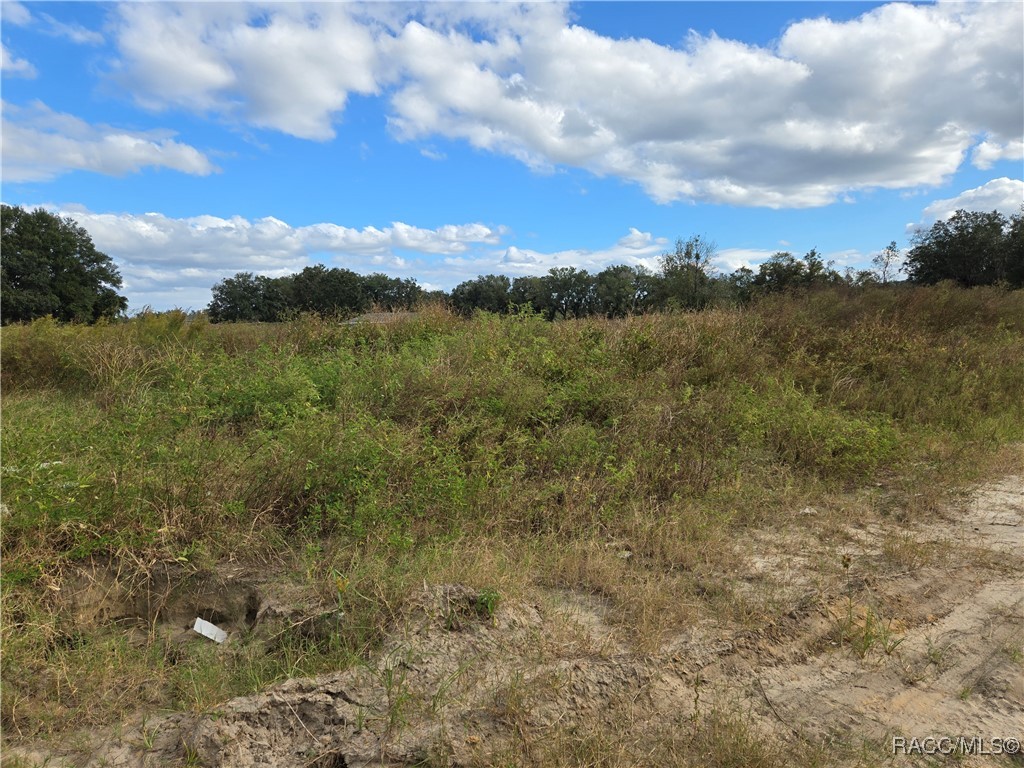 83 N Buchannon Terrace, Inverness, Florida image 4