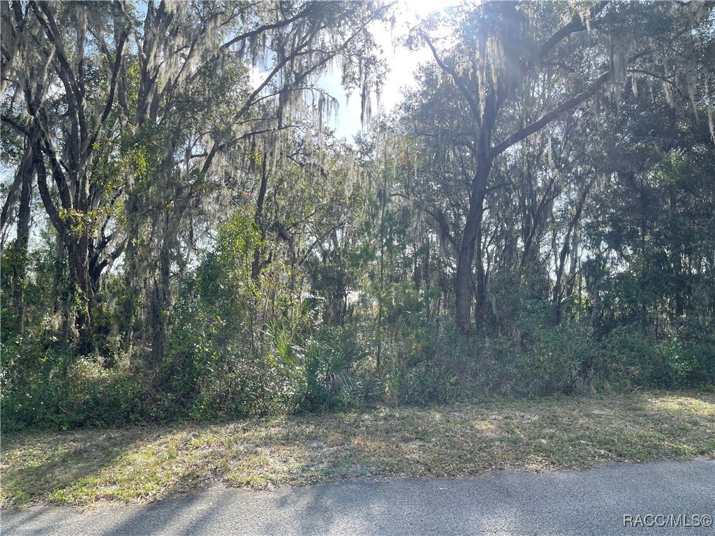 Lot 15 Shorewood Drive, Dunnellon, Florida image 16