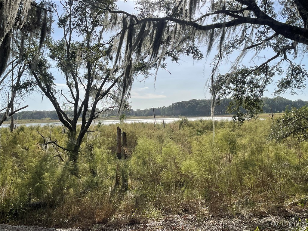 Lot 15 Shorewood Drive, Dunnellon, Florida image 1