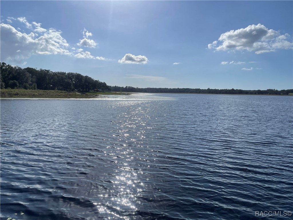 Lot 15 Shorewood Drive, Dunnellon, Florida image 7