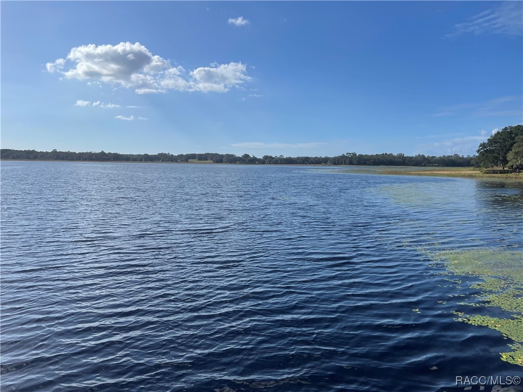 Lot 15 Shorewood Drive, Dunnellon, Florida image 6