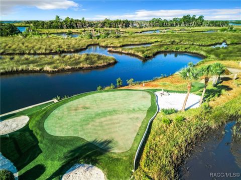 A home in Crystal River