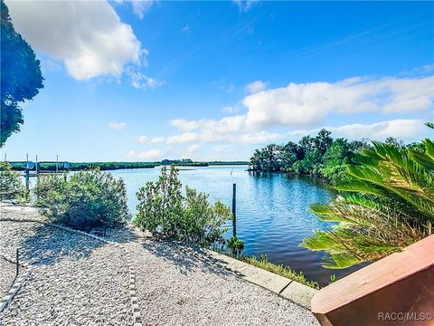 A home in Crystal River