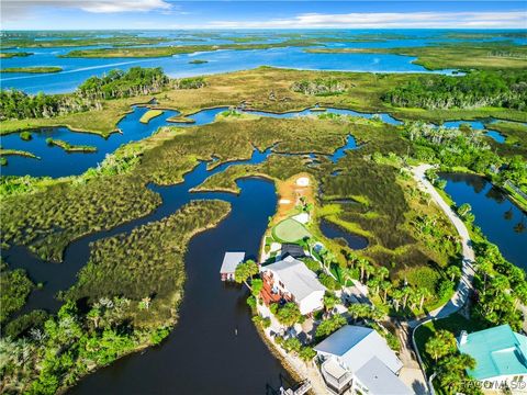 A home in Crystal River