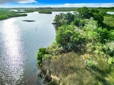 A home in Crystal River