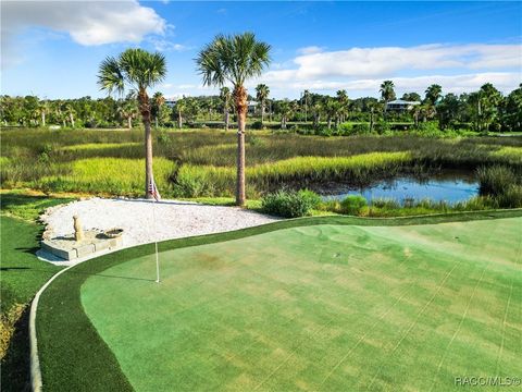 A home in Crystal River