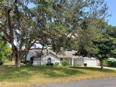 A home in Hernando