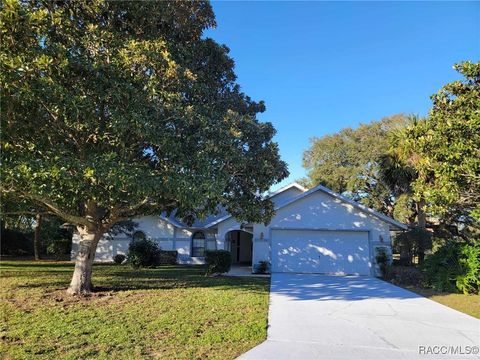 A home in Hernando