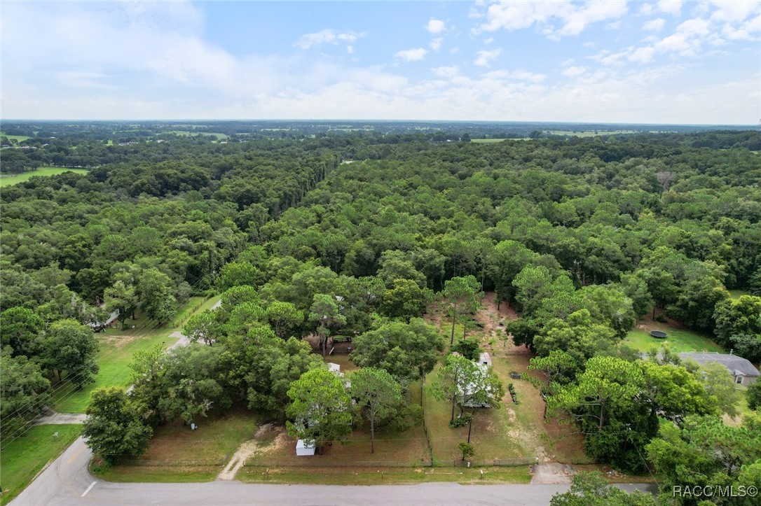 9049 Timberline Terrace, Inverness, Florida image 4