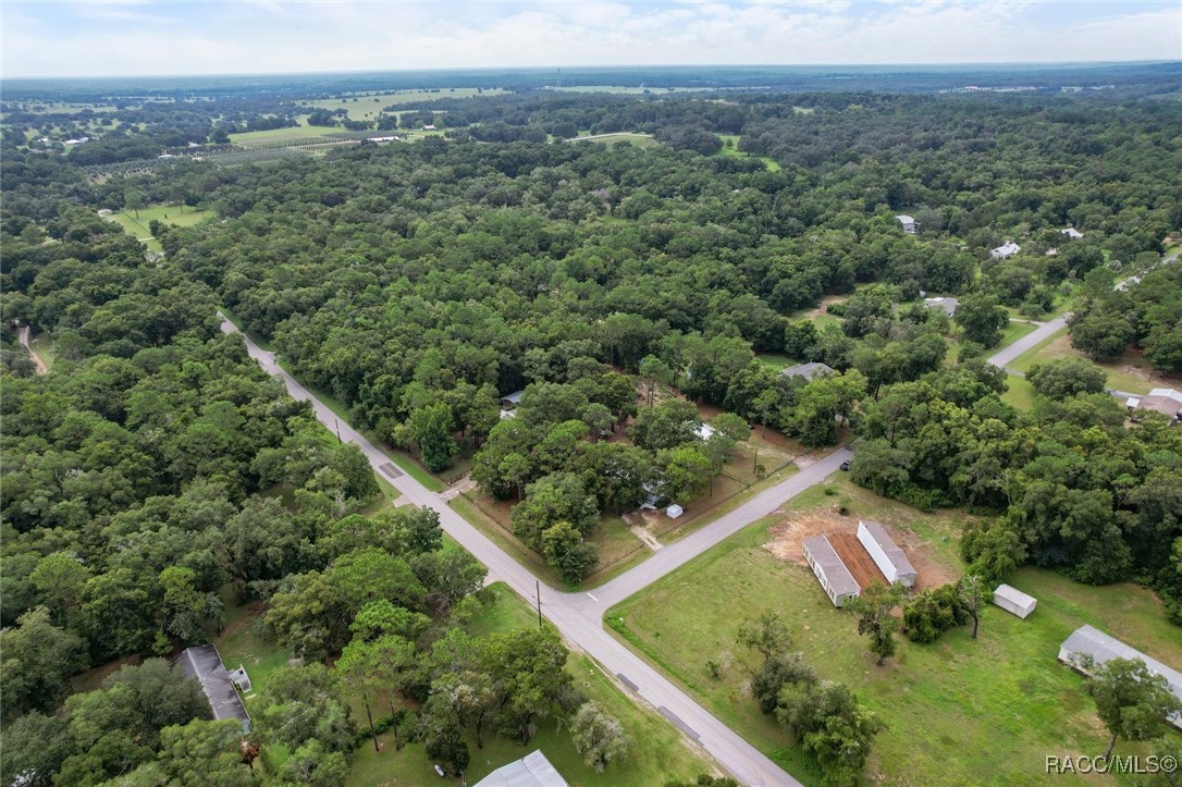 9049 Timberline Terrace, Inverness, Florida image 3