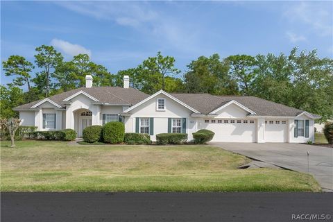 Homes For Sale - 27 Deerwood Drive<br/> Homosassa, FL 34446