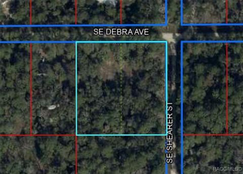 Vacant Land For Sale - Corner Of Debra And Shearer<br/> Inglis, FL 34449