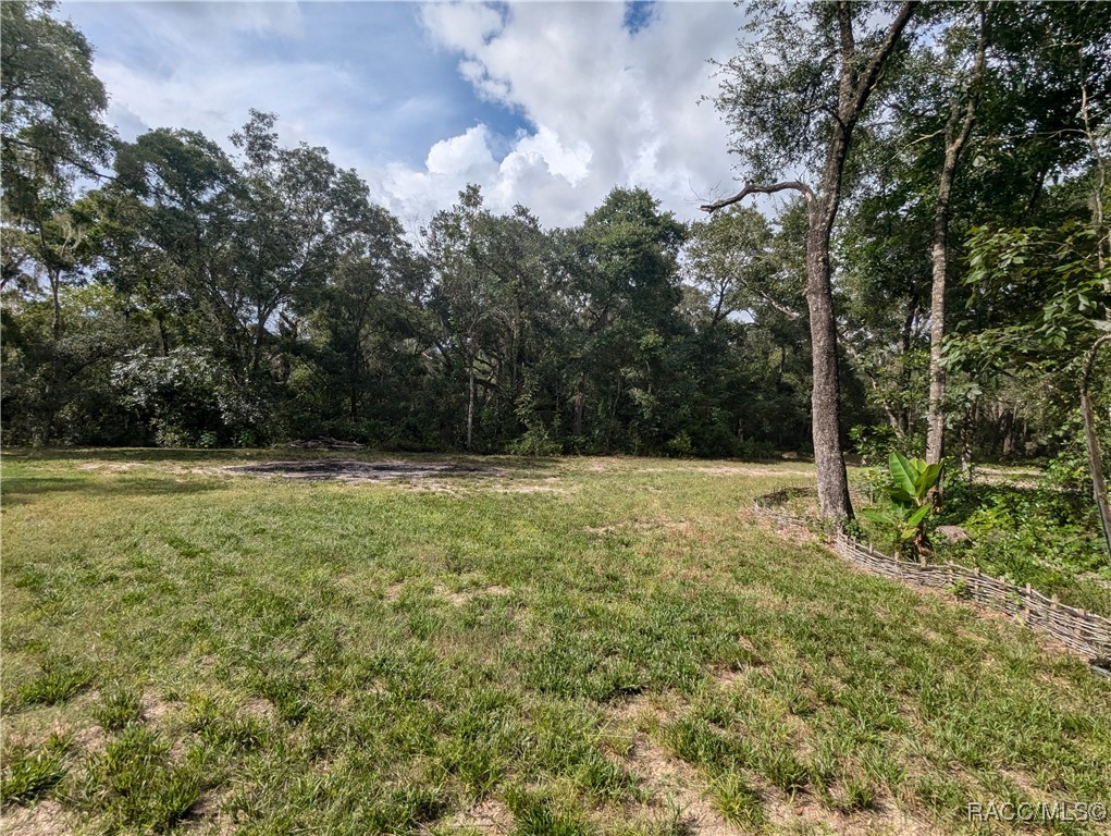 10848 E Carr Lane, Inverness, Florida image 6