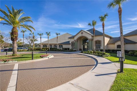 A home in Hernando