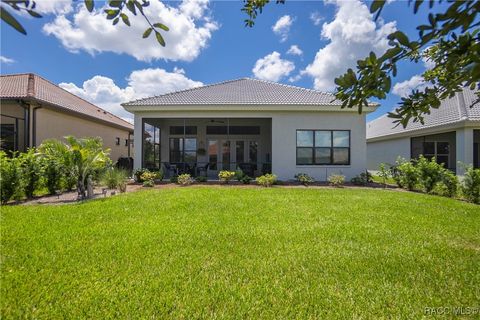 A home in Hernando