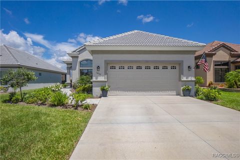 A home in Hernando