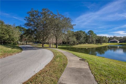 A home in Hernando