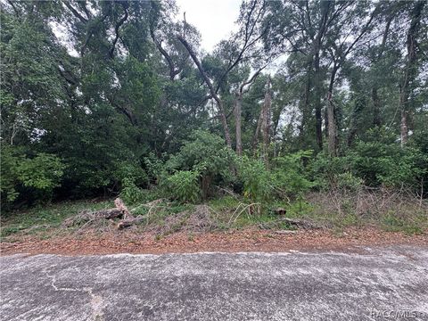 Vacant Land For Sale - 3638 E Lee Drive<br/> Inverness, FL 34453