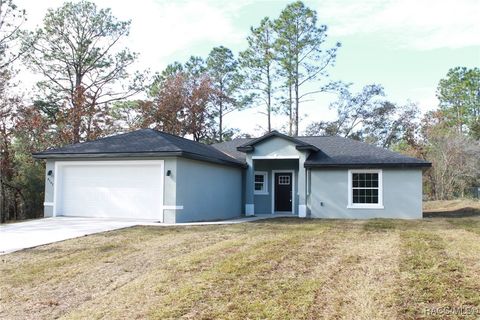 A home in Citrus Springs