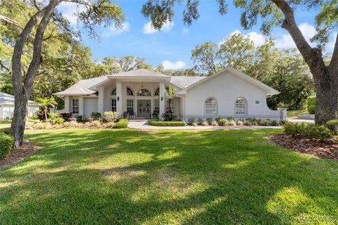 A home in Hernando