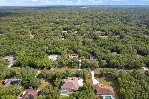 A home in Hernando