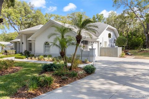 A home in Hernando