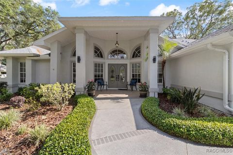 A home in Hernando