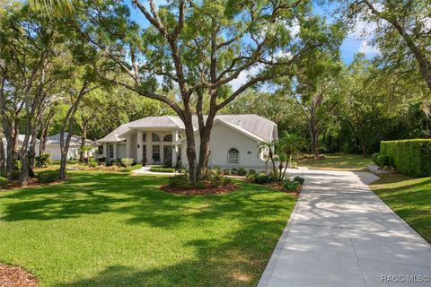 A home in Hernando