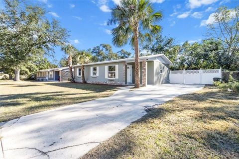 A home in Citrus Springs