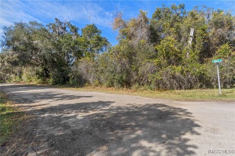 Vacant Land For Sale - 4351 E Mate Lane<br/> Hernando, FL 34442