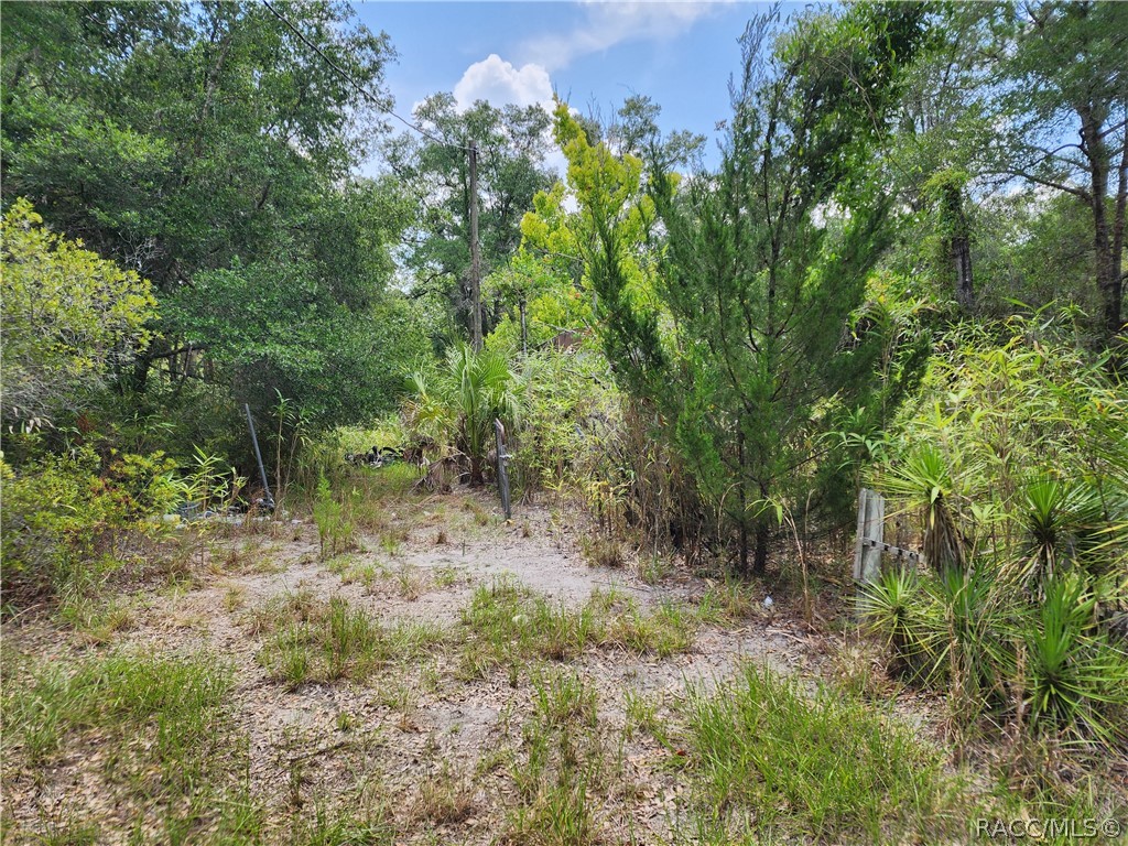 11335 N Ginny Lane Point