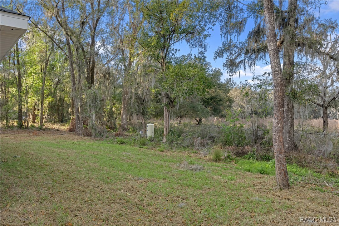 4804 S Skyblue Drive, Inverness, Florida image 38