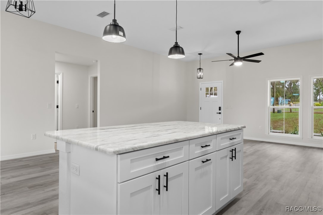 4804 S Skyblue Drive, Inverness, Florida image 13