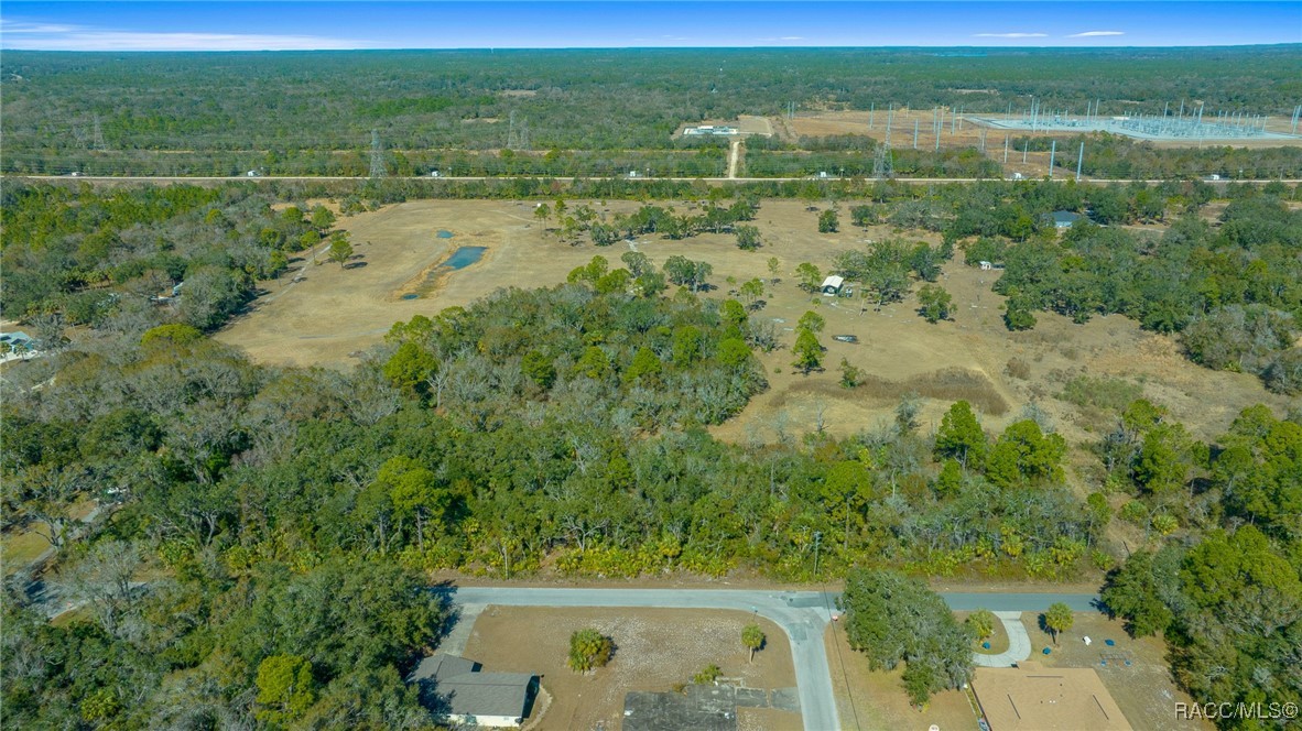 11067 W Gem Street, Crystal River, Florida image 9