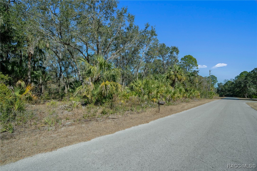 11067 W Gem Street, Crystal River, Florida image 31