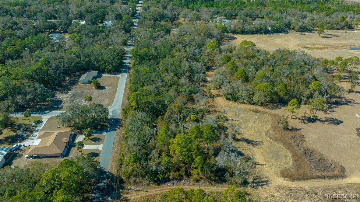 11067 W Gem Street, Crystal River, Florida image 14