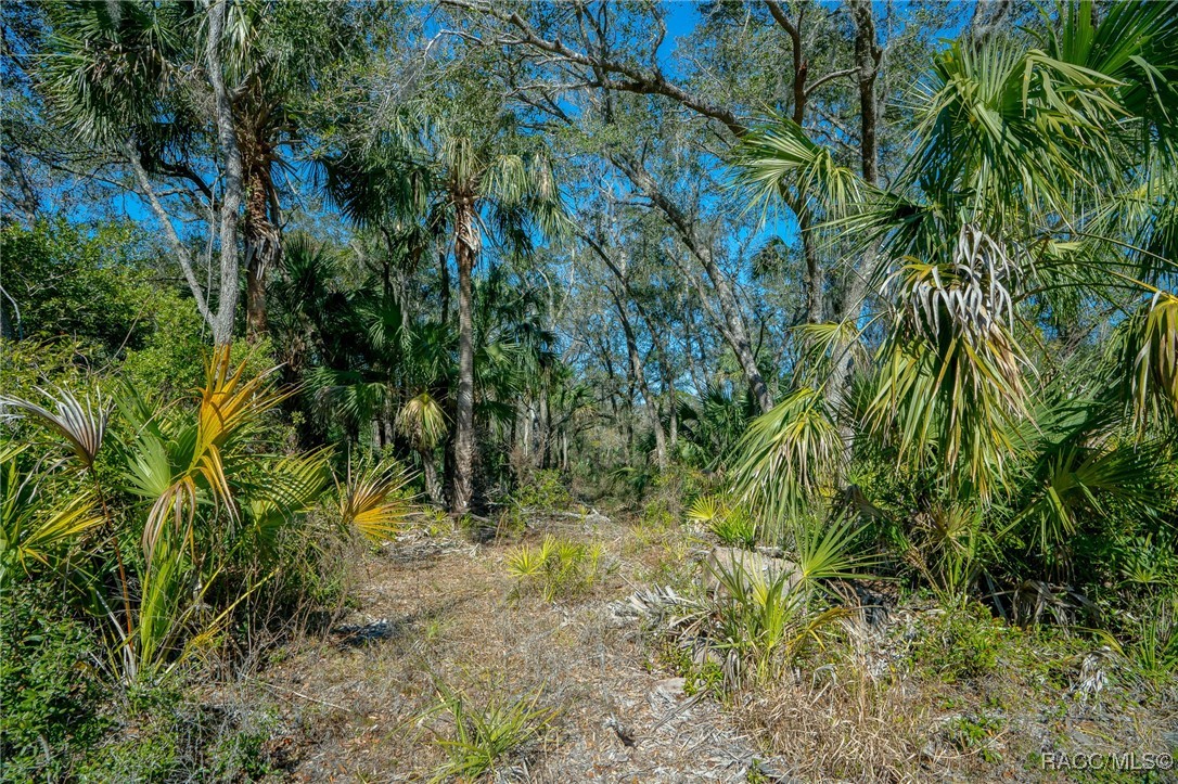 11067 W Gem Street, Crystal River, Florida image 25