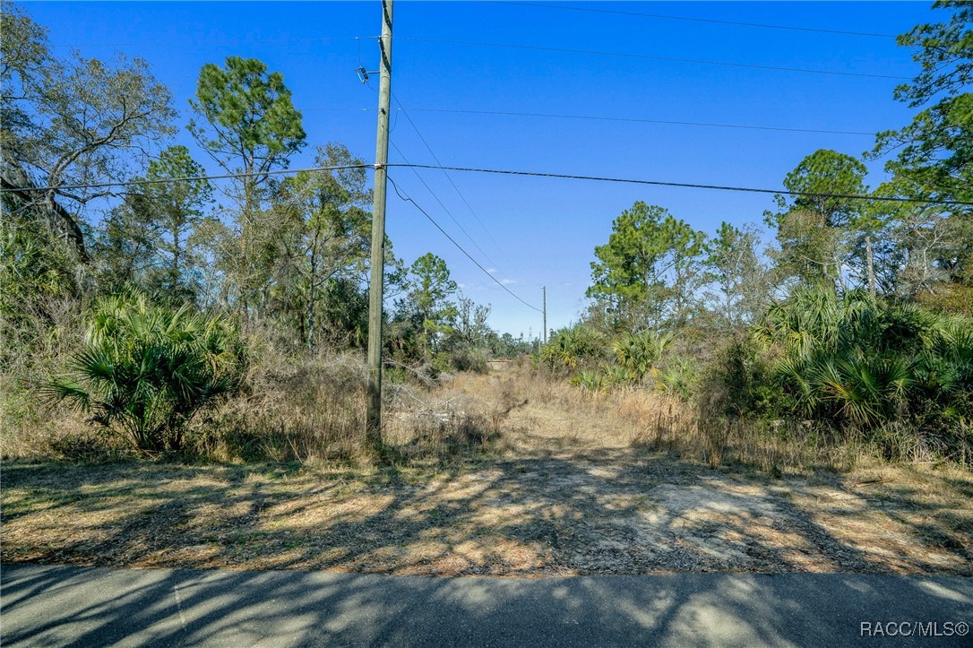 11067 W Gem Street, Crystal River, Florida image 27