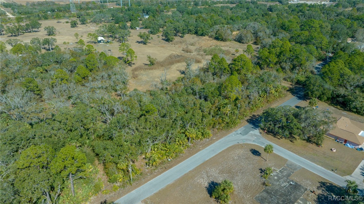 11067 W Gem Street, Crystal River, Florida image 11