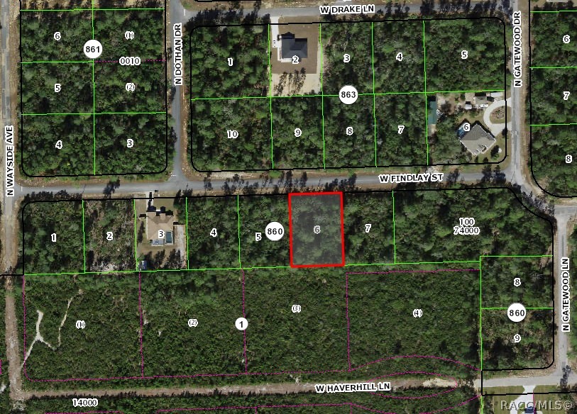 4324 W Findlay Street, Citrus Springs, Florida image 2