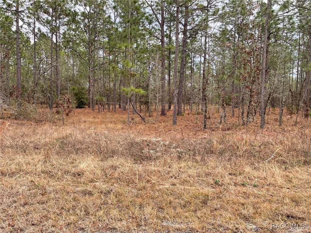 LOT 25 SE 138th Avenue, Dunnellon, Florida image 1