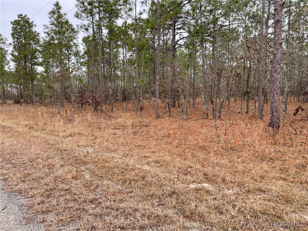 LOT 25 SE 138th Avenue, Dunnellon, Florida image 3