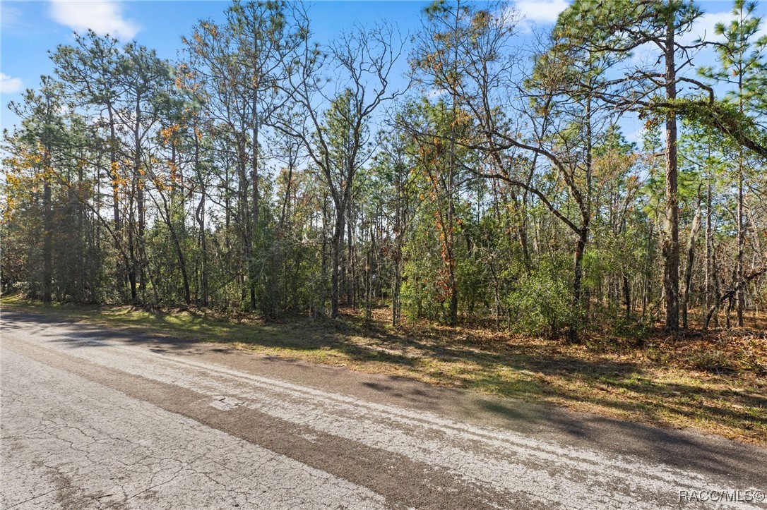 645 N Heathrow Drive, Lecanto, Florida image 8