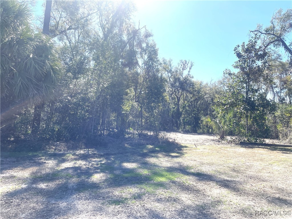 5180 N Florida Avenue, Hernando, Florida image 3