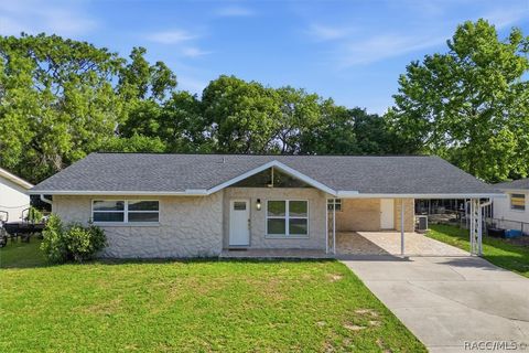 Homes For Sale - 1163 SE 2nd Street<br/> Citrus County, Crystal River, FL 34429