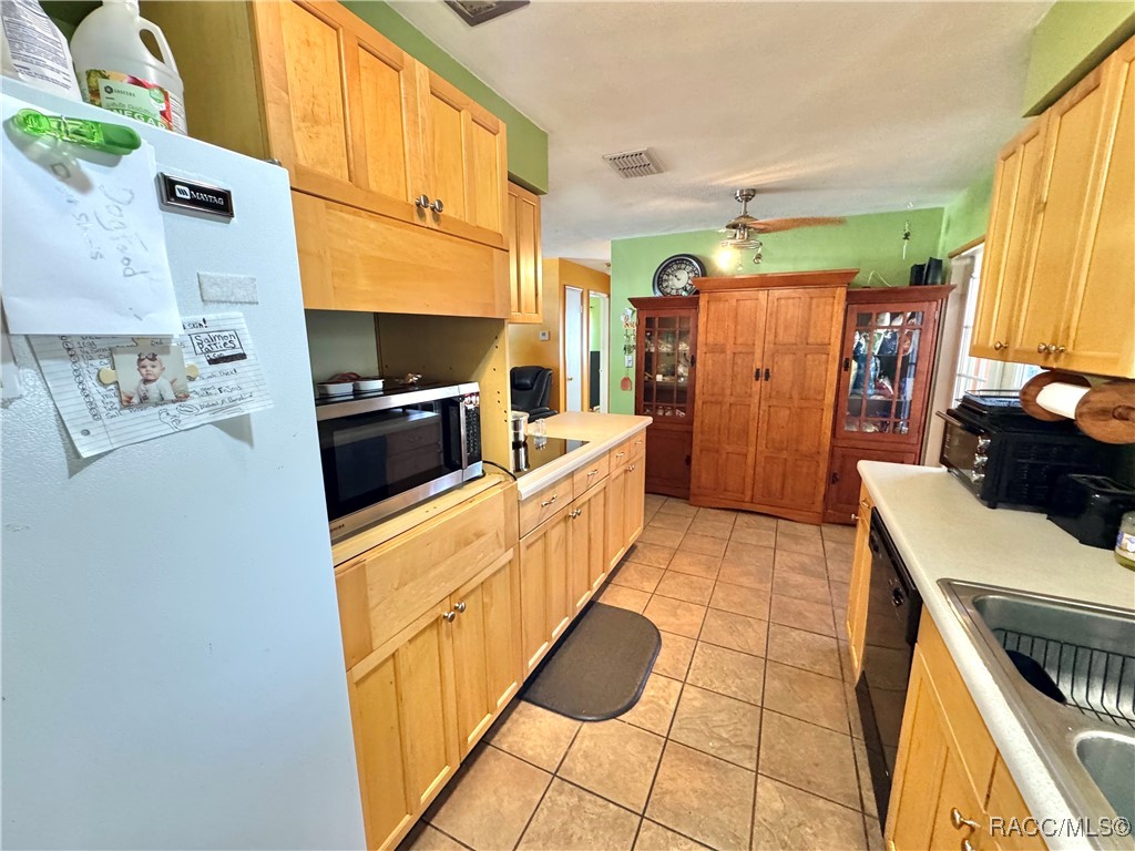 73 S Lincoln Avenue, Beverly Hills, Florida image 3