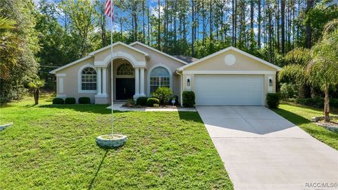 7909 N Ibsen Drive Citrus Springs FL 34433