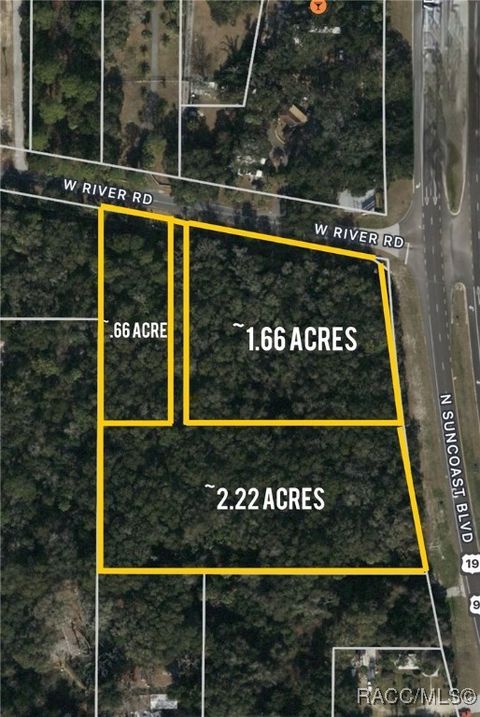 11070 N Suncoast Boulevard Inglis FL 34449